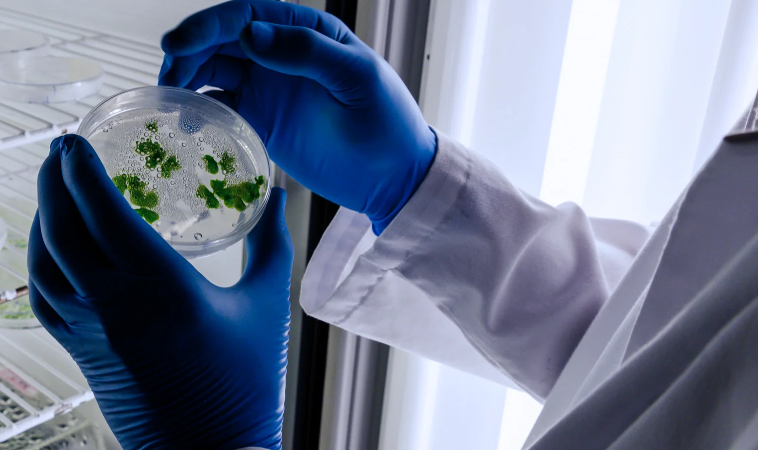 Environmental toxin screening lab sample at AgeRejuvenation