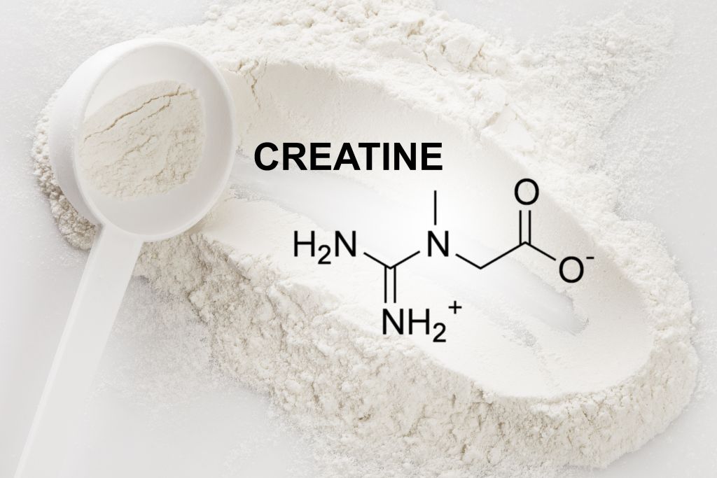 Creatine for Women Unlocks Your Cellular Potential