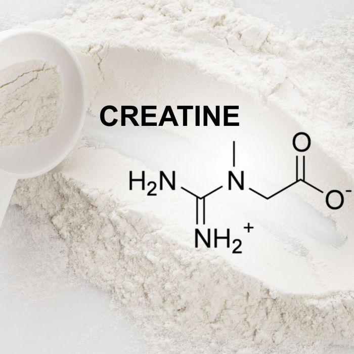 Creatine for Women Unlocks Your Cellular Potential